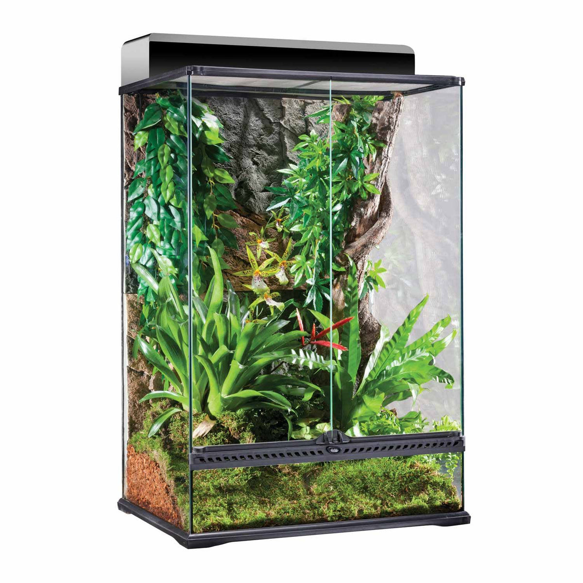 24 x 18 x 36 Glass Terrarium B5424