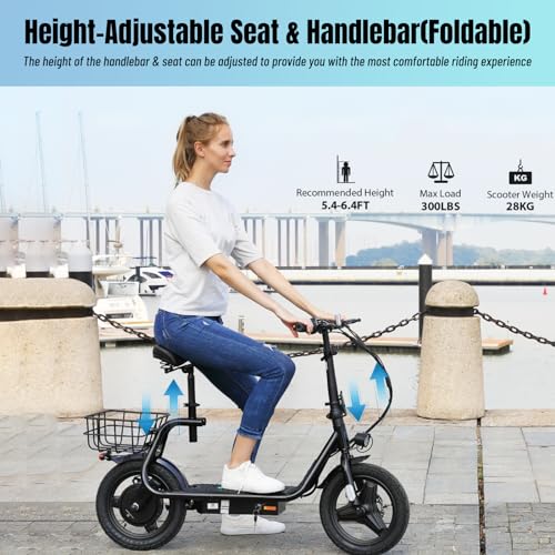 500W/800w/1200w Electric Scooters with Seat W293