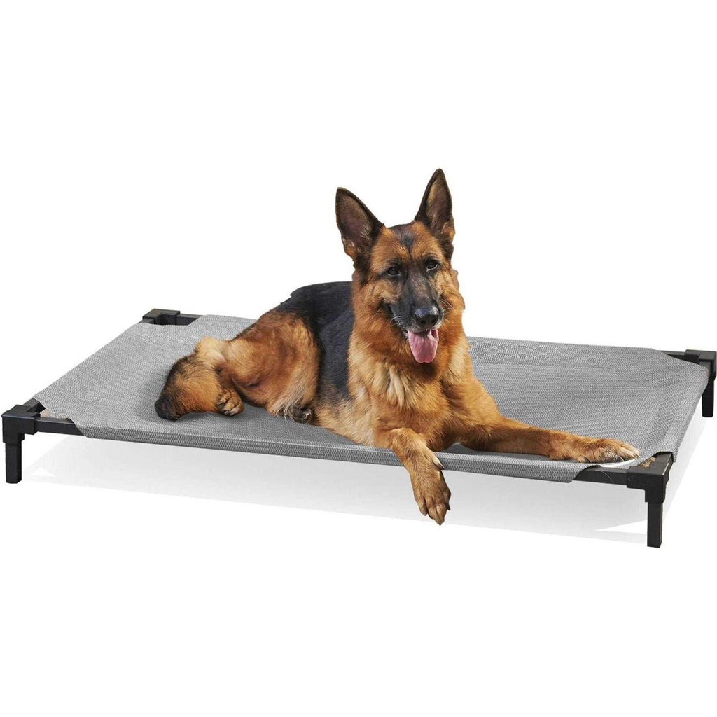 Elevated Pet Bed O854