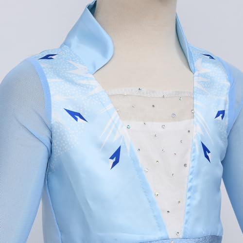 10Pcs Princess Costume Dress with Accessories Q5831