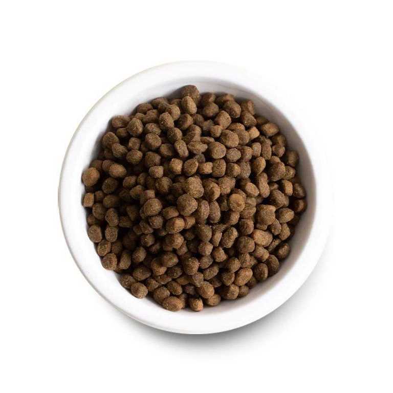 Premium Recipe Pet Supplies Z626