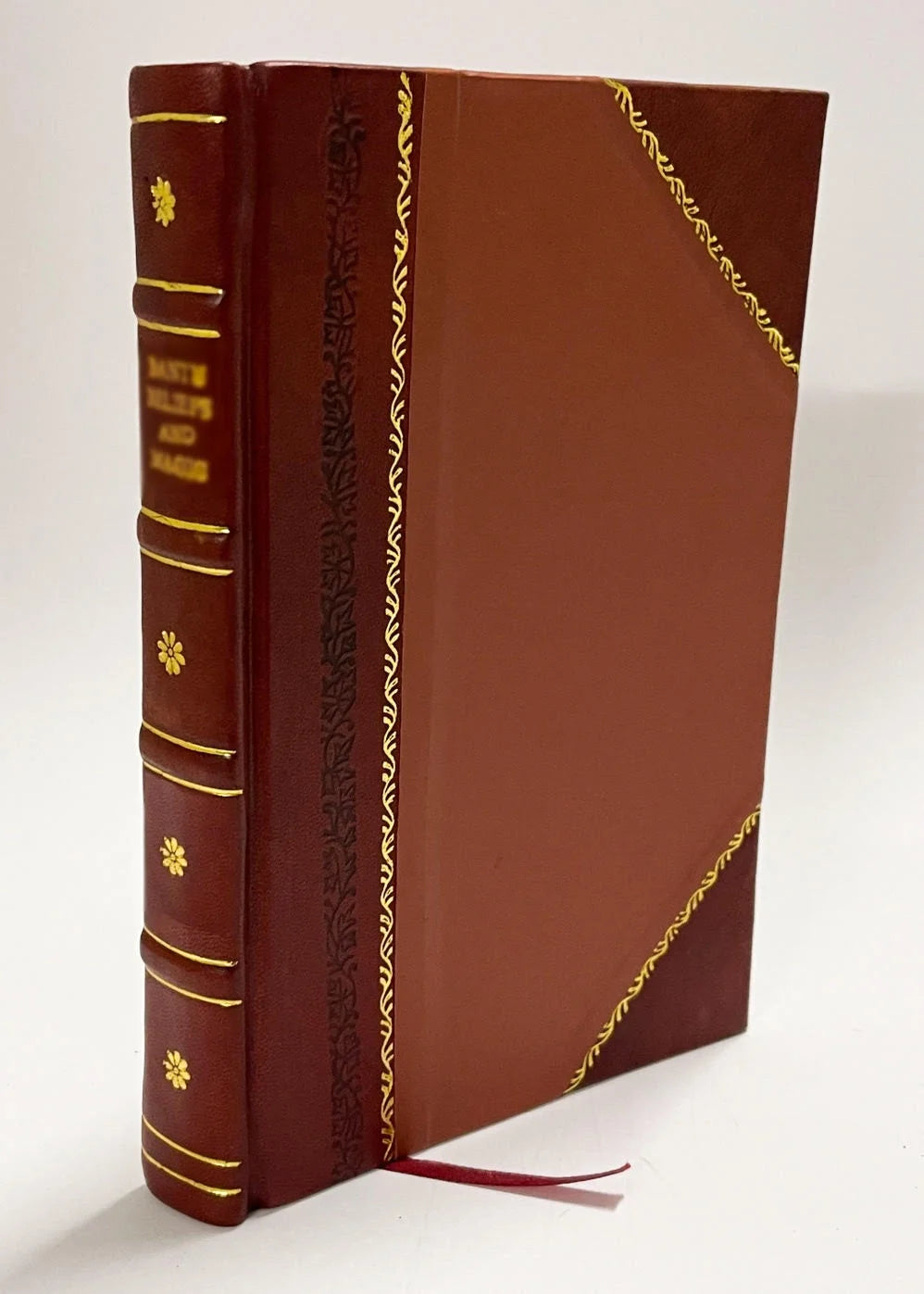 Leather Bound Book O494347