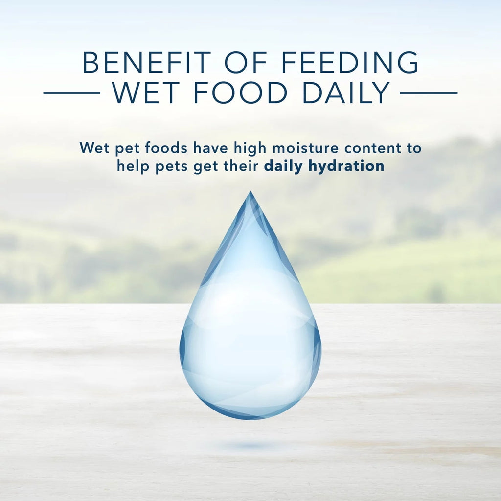 3.5 oz Grain-Free Wet Dog Food F206893