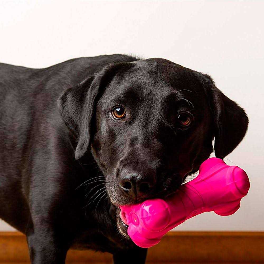 Dura Play Bone Dog Toy K678929