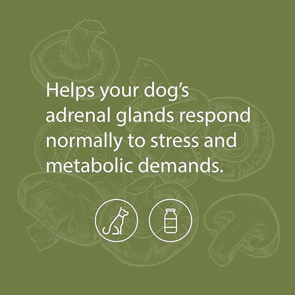 Adrenal Support J990