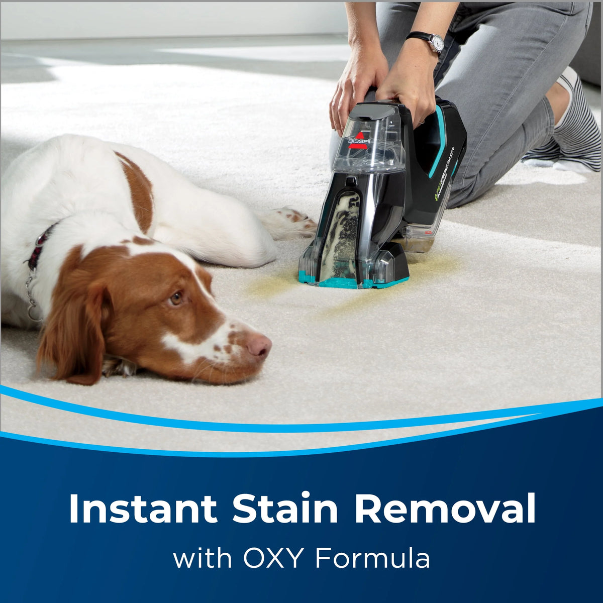 Portable Carpet Cleaner E630