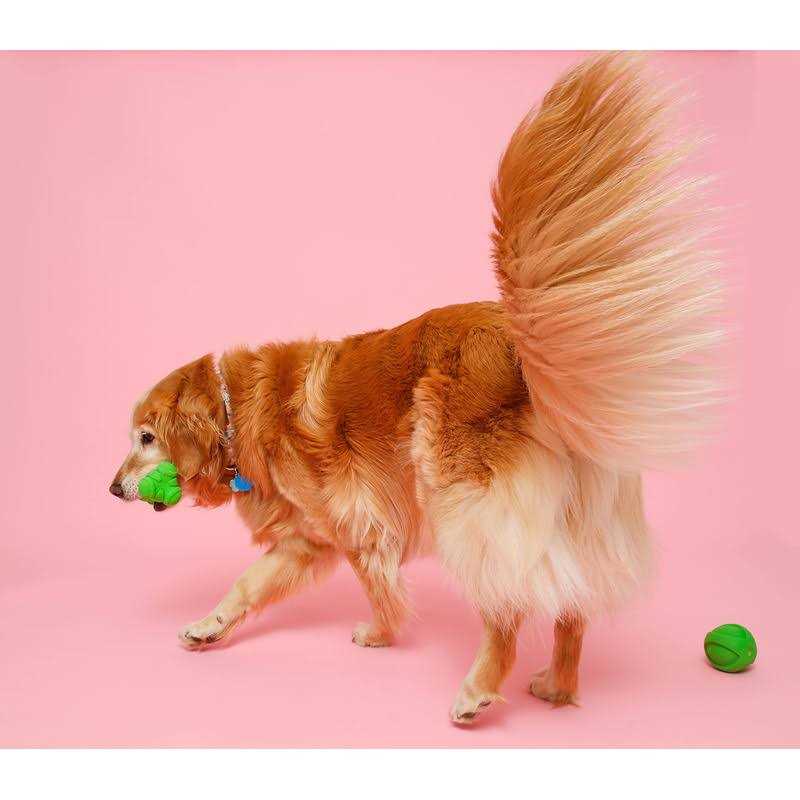 Dura Play Bone Dog Toy K678929