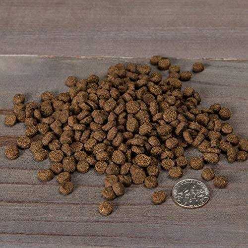 Grain Free Chicken & Cod Dry Cat & Kitten Food O3299
