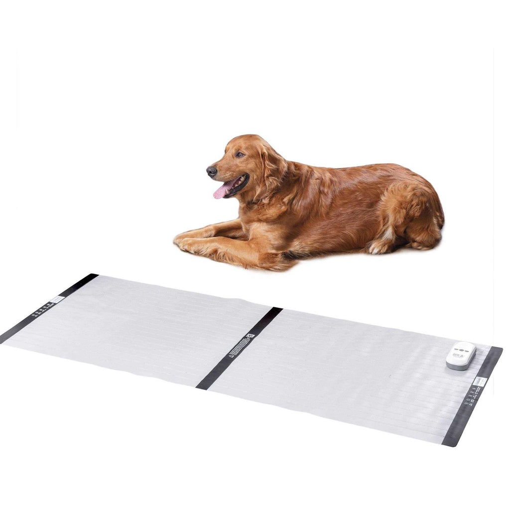 Electronic Training Mat L22059