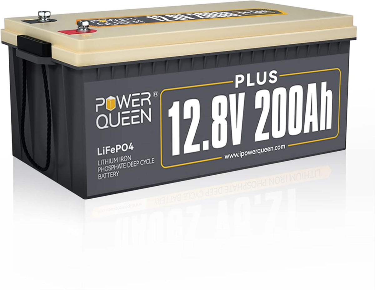 12V 200Ah LiFePO4 Deep Cycle Lithium Battery with 200A BMS C4829