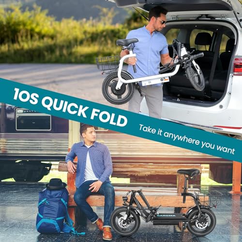 500W/800w/1200w Electric Scooters with Seat W293