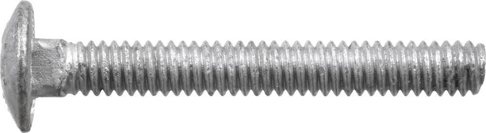1/4-in x 2-in Galvanized Coarse Thread Exterior Carriage Bolt F443