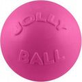 Pink 6 inch Rubber Dog Toy I2991