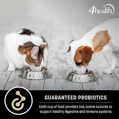 Adult Healthy Weight Chicken Formula Dry Dog Food Q7057