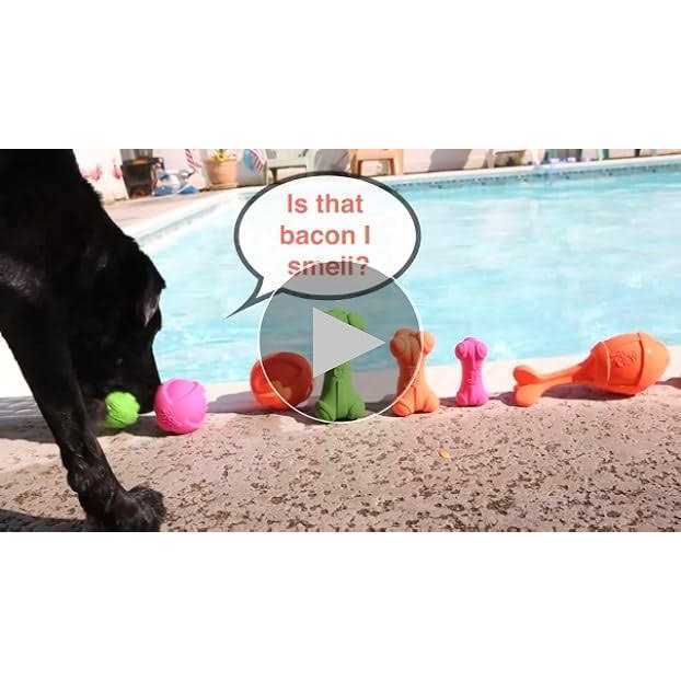 Dura Play Ball Dog Toy W876442