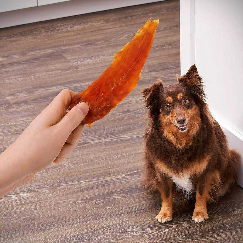 Chicken Jerky Dog Treats I603