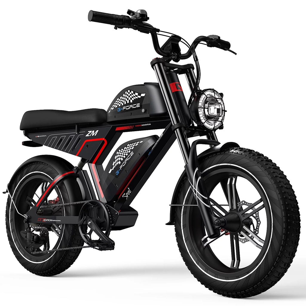 20X4.0 Fat Tire 750W Motor Off-Road Electric Bike R818303