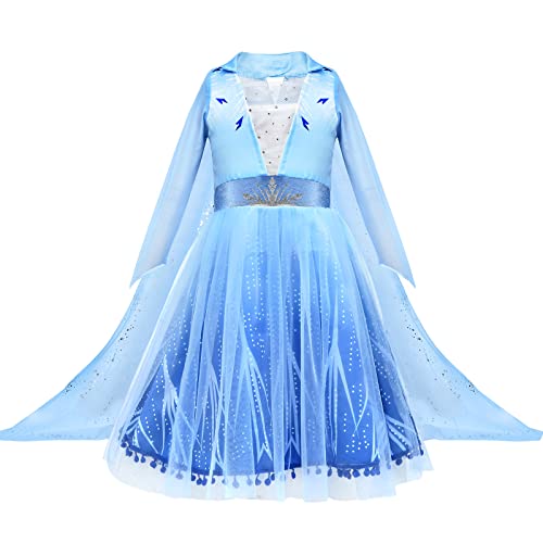10Pcs Princess Costume Dress with Accessories Q5831