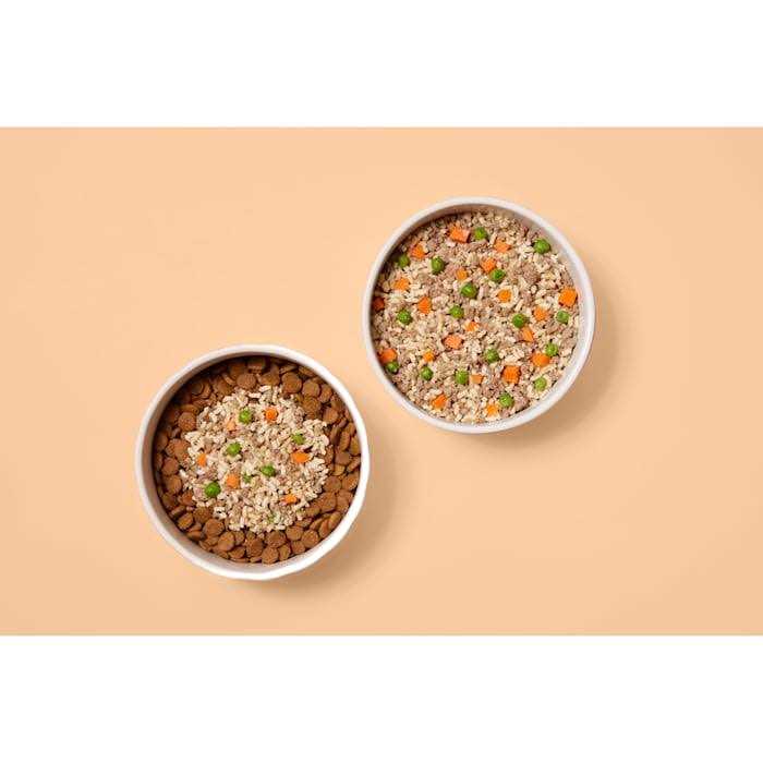 Frozen Beef Recipe Dog Food W567