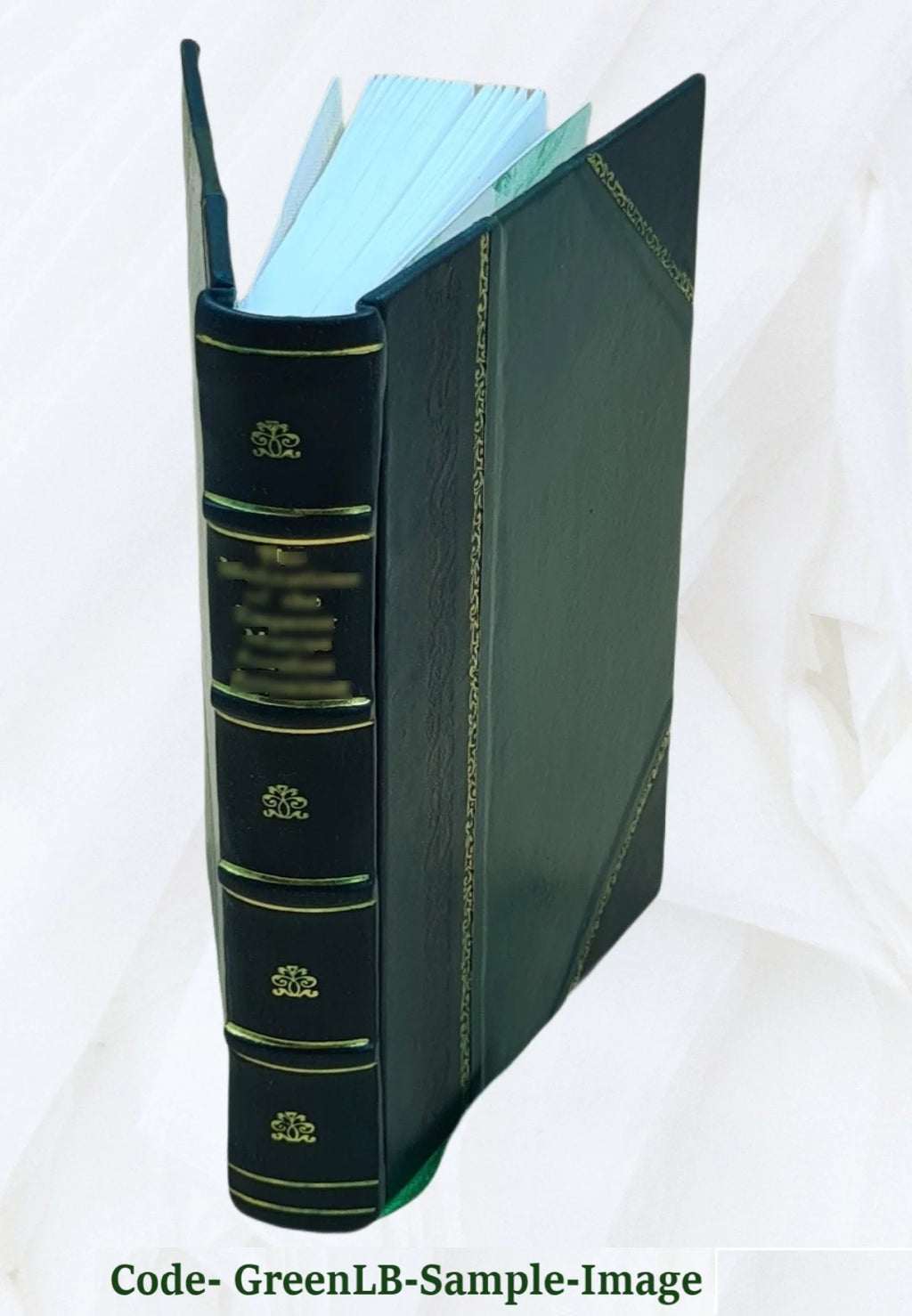1905 Leather Bound E75277