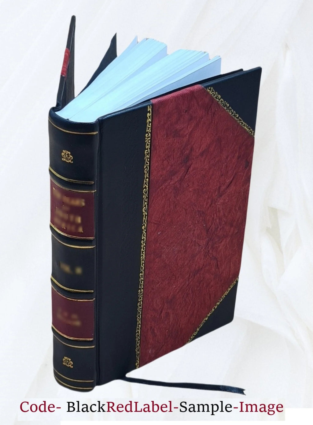 1905 Leather Bound E75277
